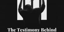 Testimony Behind the Book “Secrets of the Killing State”